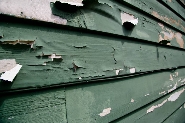 Same-Day Junk Removal Services in Meadville, PA