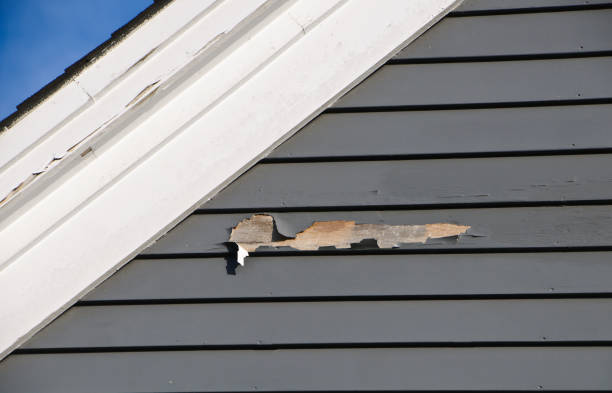 Best Property Management Cleanouts  in Meadville, PA